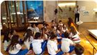 MUSEU_ZOOLOGIA2017 (5).JPG